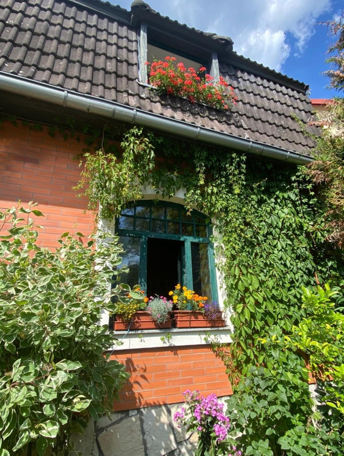 Apartman Dum U Kouli Prameny Екстер'єр фото